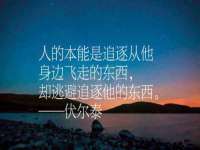 福建省南平市宏鑫福贸易有限公司
