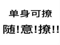 福建省南平市宏鑫福贸易有限公司