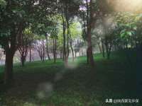 福建省南平市宏鑫福贸易有限公司