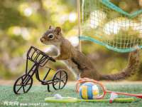 福建省南平市宏鑫福贸易有限公司