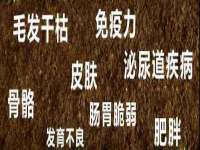 福建省南平市宏鑫福贸易有限公司