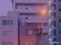 福建省南平市宏鑫福贸易有限公司