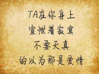 福建省南平市宏鑫福贸易有限公司