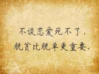 福建省南平市宏鑫福贸易有限公司