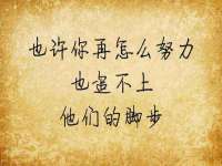 福建省南平市宏鑫福贸易有限公司