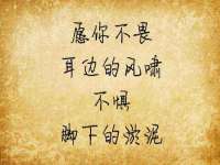 福建省南平市宏鑫福贸易有限公司