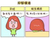 福建省南平市宏鑫福贸易有限公司