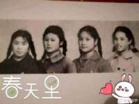福建省南平市宏鑫福贸易有限公司