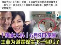 福建省南平市宏鑫福贸易有限公司