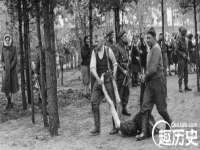 福建省南平市宏鑫福贸易有限公司