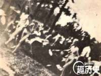 福建省南平市宏鑫福贸易有限公司