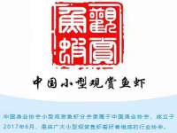 福建省南平市宏鑫福贸易有限公司