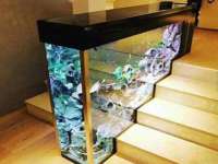 福建省南平市宏鑫福贸易有限公司
