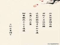 福建省南平市宏鑫福贸易有限公司