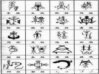 福建省南平市宏鑫福贸易有限公司