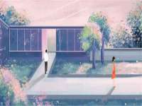 福建省南平市宏鑫福贸易有限公司