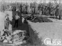 福建省南平市宏鑫福贸易有限公司