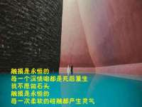 福建省南平市宏鑫福贸易有限公司