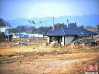 福建省南平市宏鑫福贸易有限公司