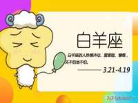 福建省南平市宏鑫福贸易有限公司