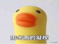 福建省南平市宏鑫福贸易有限公司