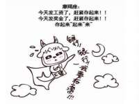 福建省南平市宏鑫福贸易有限公司