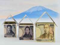 福建省南平市宏鑫福贸易有限公司