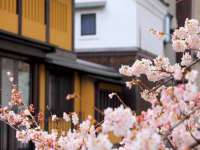福建省南平市宏鑫福贸易有限公司