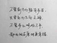 福建省南平市宏鑫福贸易有限公司