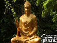 福建省南平市宏鑫福贸易有限公司